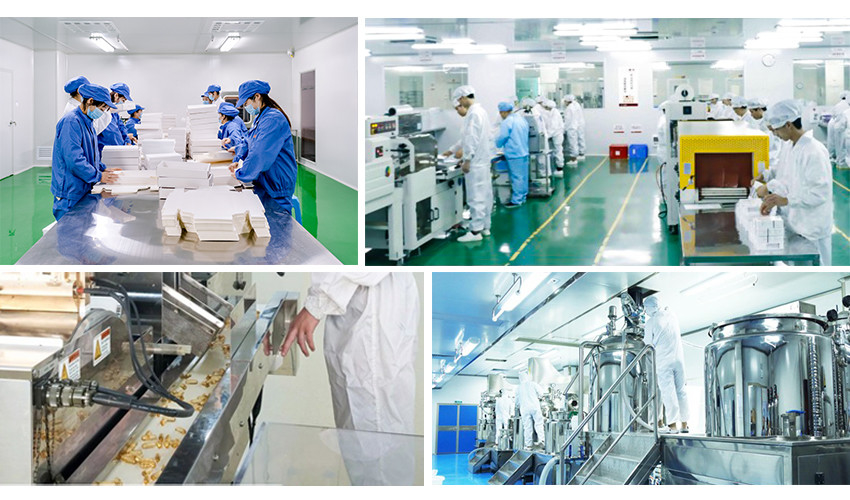 Guangzhou Hollycon Biotechnology Co., Ltd.