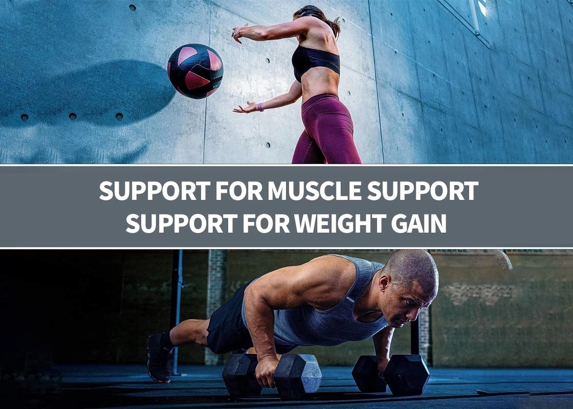 Super Mass Gainer Protein Powder สําหรับการสนับสนุนกล้ามเนื้อ โปรตีน Powder อาหารเสริมเสริมภูมิคุ้มกัน