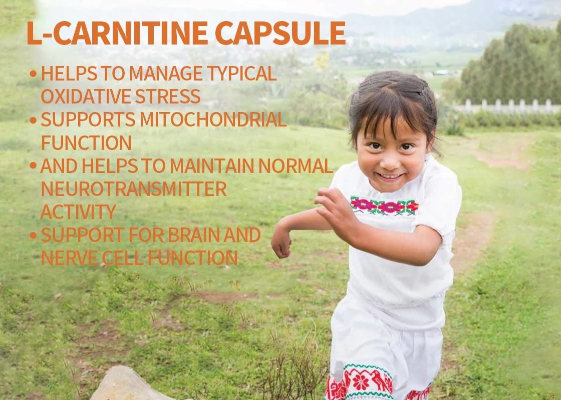 OEM แคปซูล L-Carnitine สนับสนุนสําหรับสมองและหน้าที่เซลล์ประสาท แคปซูลผัก สนับสนุนสําหรับความทรงจําและความสนใจ