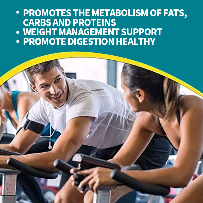 Probiotic Capsules For Healthy Metabolism การควบคุมน้ําหนัก สุขภาพลําไส้ อาหารเสริมลดน้ําหนัก