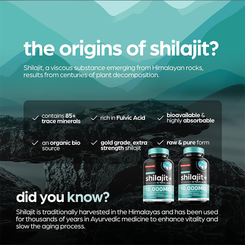 OEM Pure Himalayan Shilajit 10000mg แคปซูล Shilajit ออร์แกนิค สําหรับการสนับสนุนภูมิคุ้มกัน