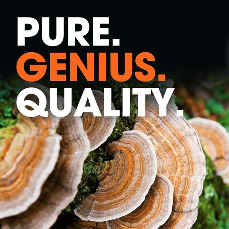 OEM ส่งเสริมสุขภาพโดยรวม สนับสนุนกลไกป้องกันธรรมชาติของร่างกาย การต่อต้านปัญหาทางออกซิเดนต์ ตุรกี หาง แคปซูล