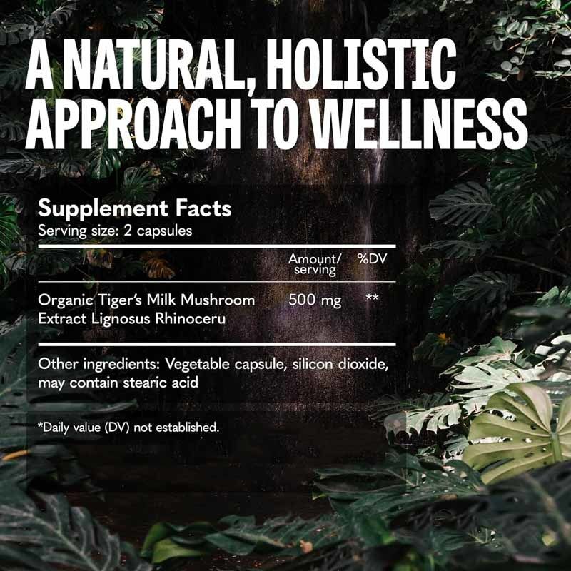 อาหารเสริมเห็ดช่วยบำรุงผม การเจริญเติบโตของลำไส้ สมอง ปอด สุขภาพ การรับรู้ การหายใจ แคปซูลเห็ดนมเสือ