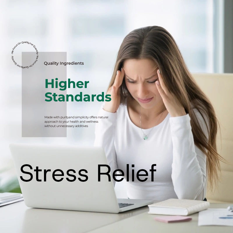 หนุนอารมณ์ หนุนอารมณ์ OEM โรงงาน หนุนอารมณ์ แม็กนีเซียม สําหรับผู้ใหญ่ ลดความเครียด ส่งเสริมการมุ่งมั่นทางจิตใจ ปรับปรุงคุณภาพการนอนหลับ