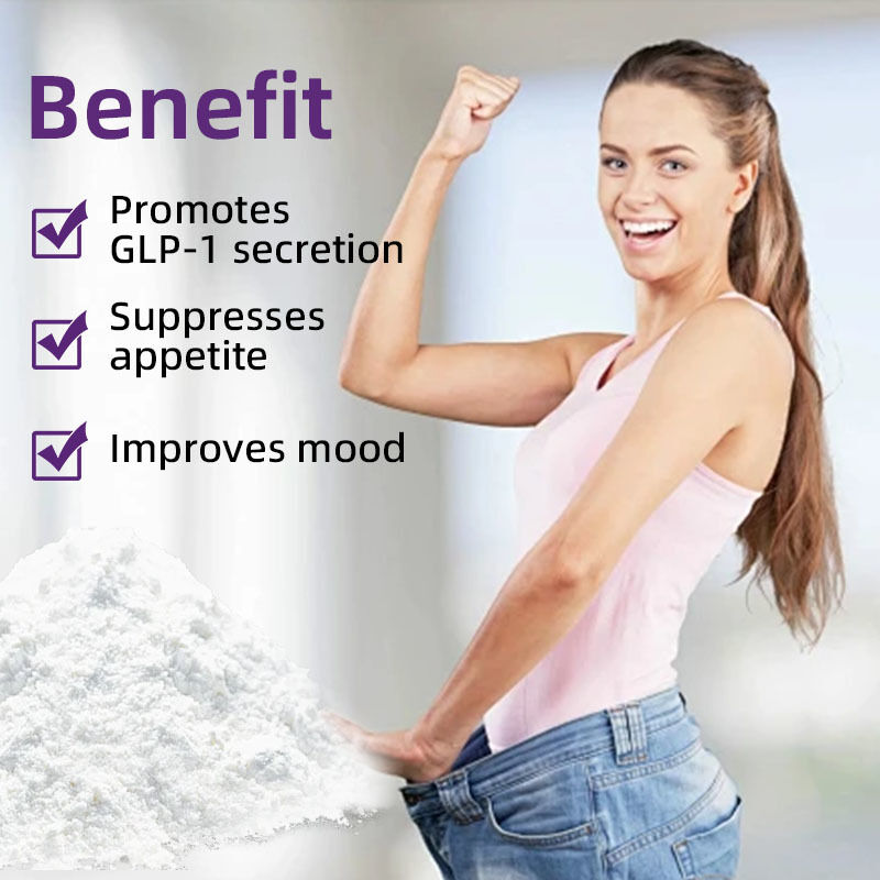 Multi Plant Compound Fine Powder | Daily Balanced Nutrient Dietary Supplement, OEM Private Label Customizable