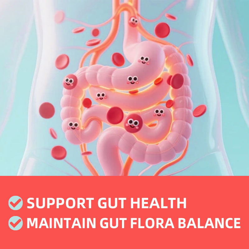 Probiotic Prebiotic Gummies with Dual Compound Formula for Balanced Inner Body Nutrition and Customizable OEM Service