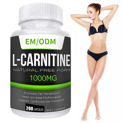 MSDS อาหารเสริมลดไขมัน อาหารเสริมความแข็งแรง L-Carnitine แคปซูลลดน้ําหนัก