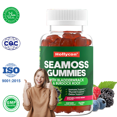 กลิ่นทะเลไอร์แลนด์ กัมมี่ 1000mg Bladderwrack กลิ่นทะเล กัมมี่เพื่อสนับสนุนการย่อยอาหาร