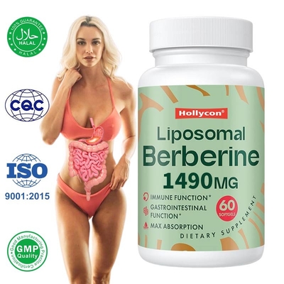 อาหารเสริมเบอร์เบอรีนลิปโซมเบอร์เบอรีน Softgels สําหรับการสนับสนุนภูมิคุ้มกัน