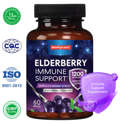 โรงงาน Sambucus Black Elderberry แคปซูล อาหารเสริมสนับสนุนภูมิคุ้มกัน