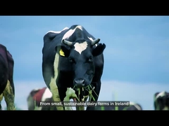 เวย์โปรตีน