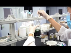 ปรับปรุงน้ําตาลลดอาหารด้วย Garcinia Cambogia, L-Arginine L-Glutamine น้ําตาลลดน้ําหนัก