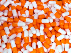 แคปซูล Hollycon